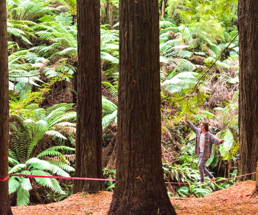 Slack Lining in the Otways Redwood Forest