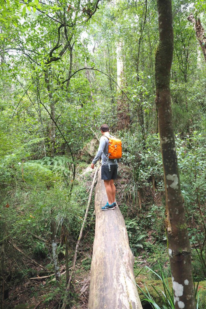 1000 Steps Dandenong