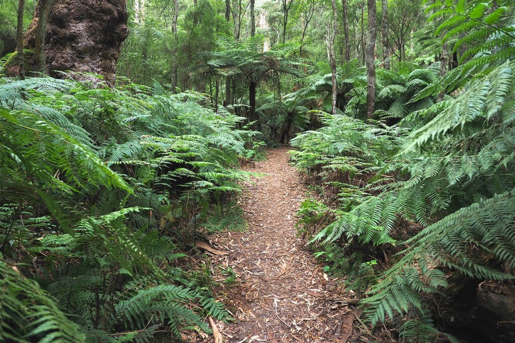 1000 Steps Dandenong