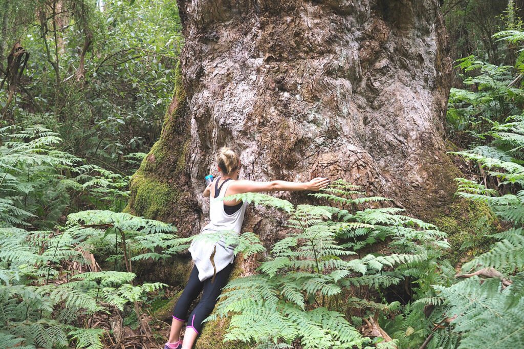 1000 Steps Dandenong