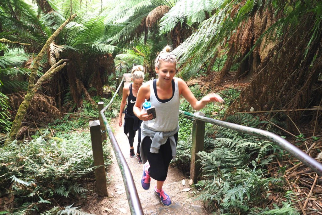 1000 Steps Dandenong