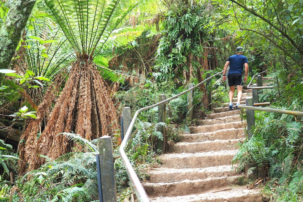 1000 Steps Dandenong