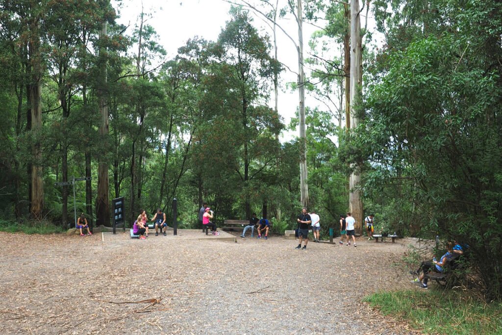 1000 Steps Dandenong