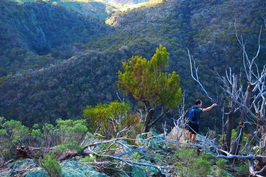 Werribee Gorge Circuit Walk Cable
