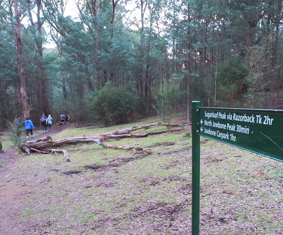Jawbone Creek Track, the final leg of the circuit walk.