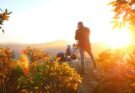 Nailing that Mt Oberon Sunrise