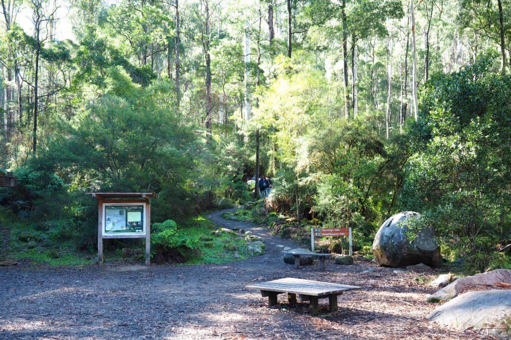 Start of Toorongo Falls Walk
