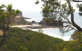 Bushrangers Bay