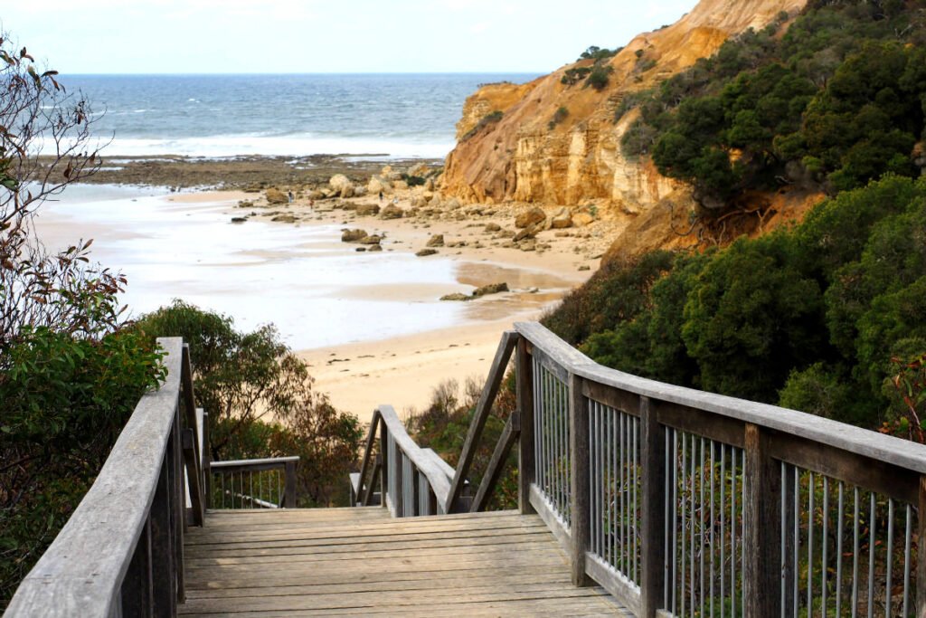 Access path to Point Addis Beach