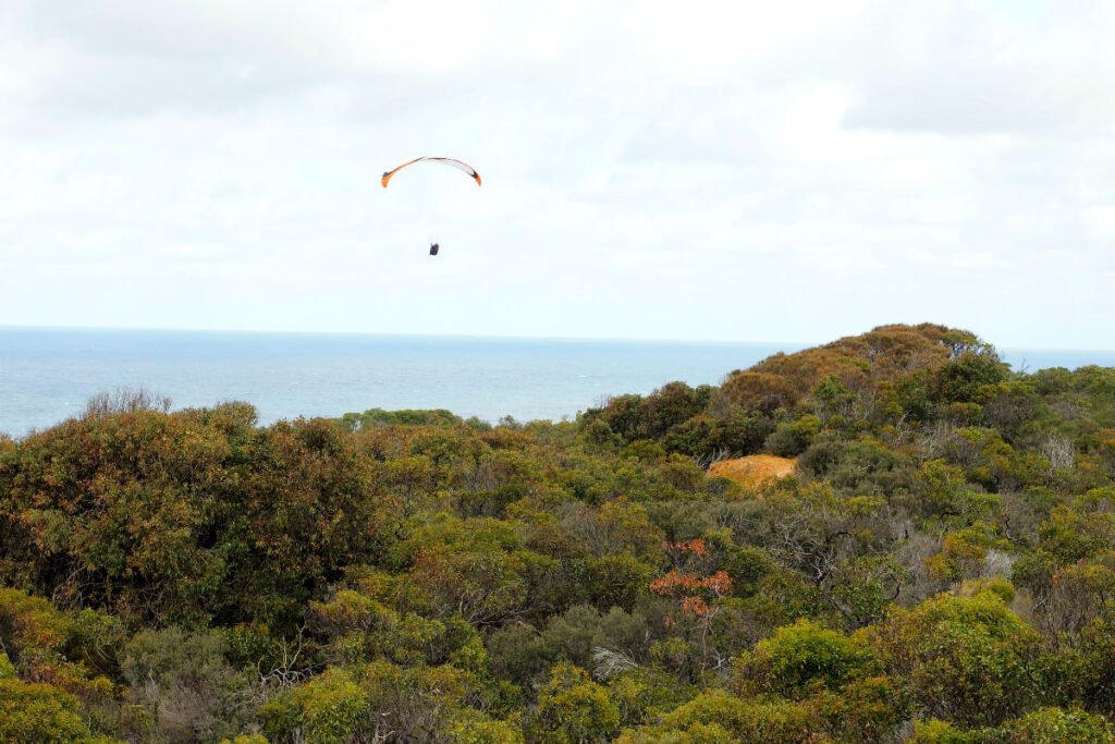 A duo parasailing above Southside Beach