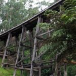 Noojee Trestle Bridge