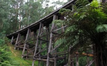 Noojee Trestle Bridge
