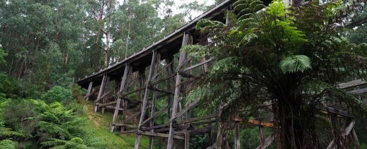 Noojee Trestle Bridge