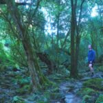 Walking to Den of Nargun along Woolshed Creek