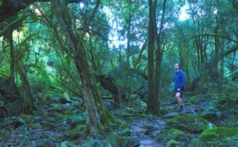 Walking to Den of Nargun along Woolshed Creek