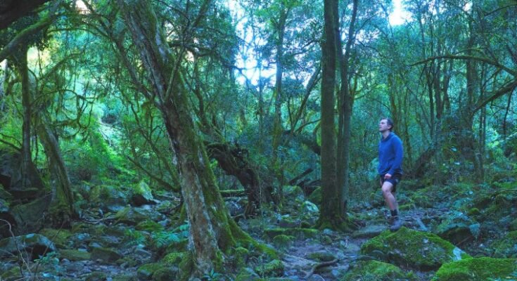 Walking to Den of Nargun along Woolshed Creek
