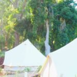 Luxe Bell Tents Lakeside Tourist Park