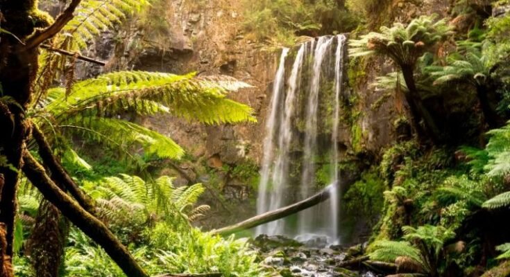 The Stunning Hopetoun Falls